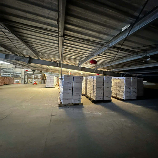 Warehouse staff organizing shipments in a secure but affordable facility